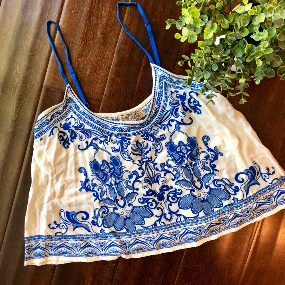 Flying Tomato Crop Top